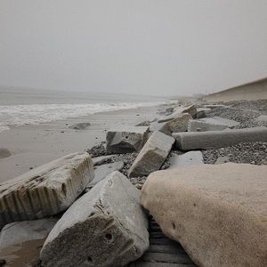 Meet your Posher, Annabelle